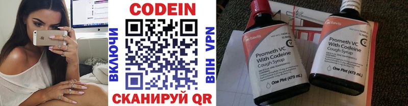 где купить наркоту  Заводоуковск  Кодеин напиток Lean (лин) 