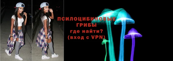 гашик Алзамай