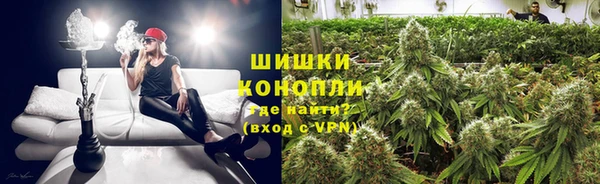 гашик Алзамай