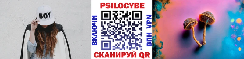 Псилоцибиновые грибы GOLDEN TEACHER  Заводоуковск 